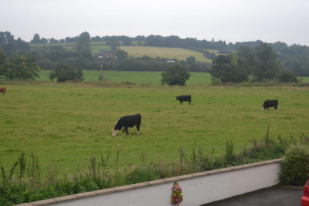 The Lilacs Ashbourne  Esterno foto