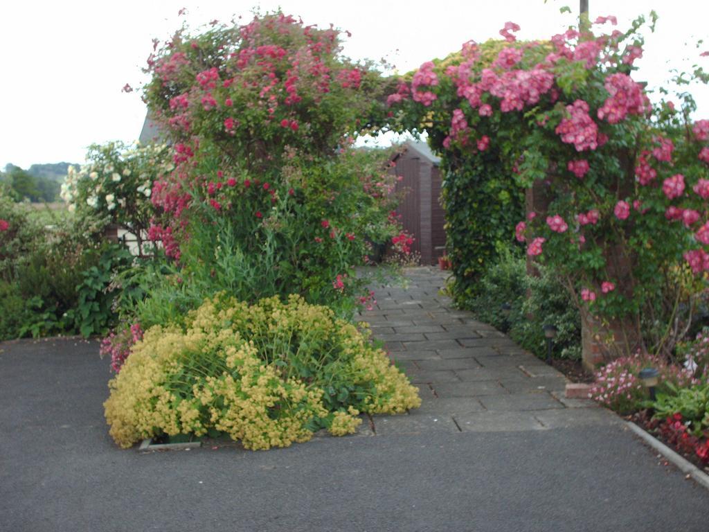 The Lilacs Ashbourne  Esterno foto